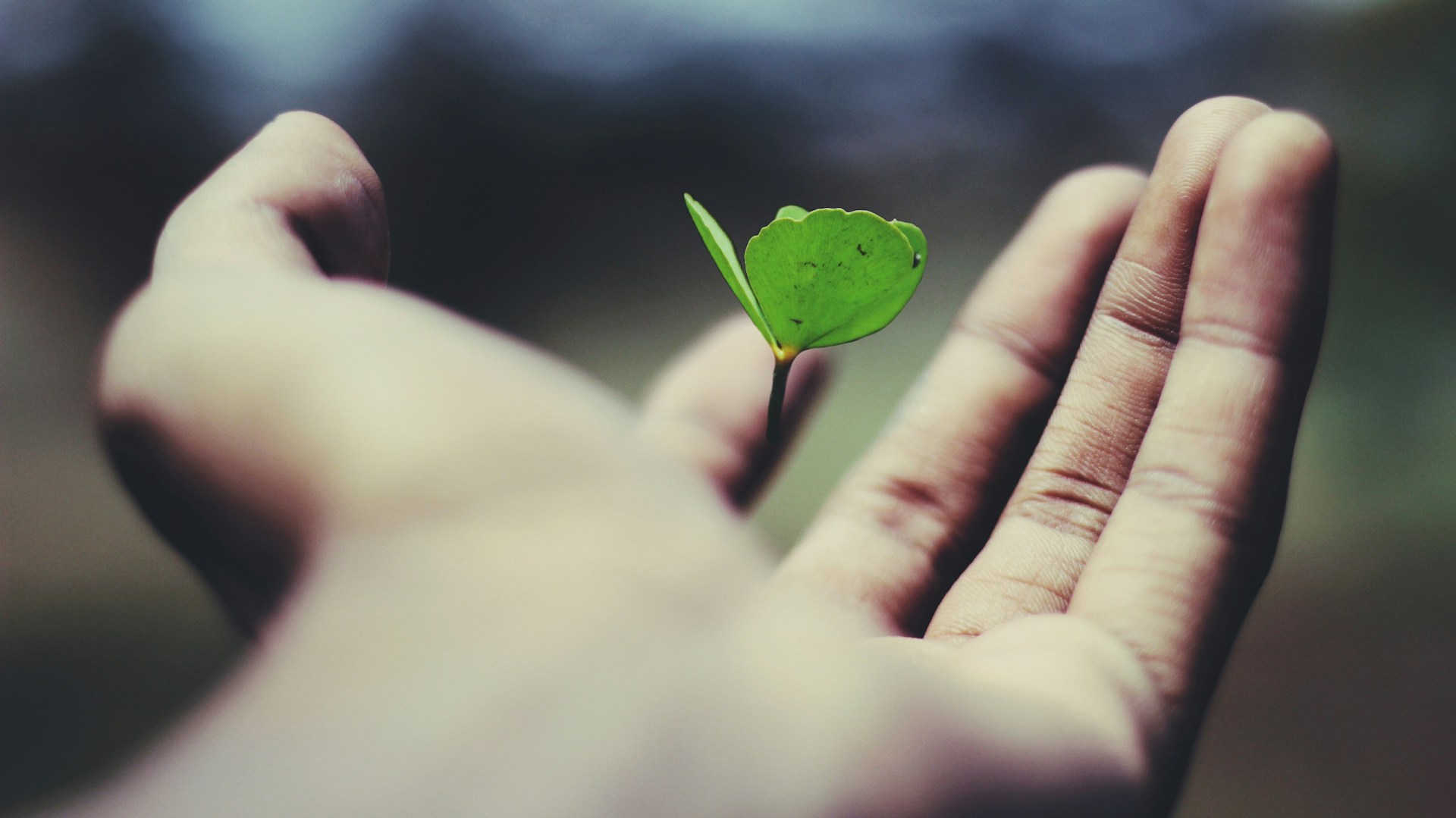 crecimiento personal neurohealthy
